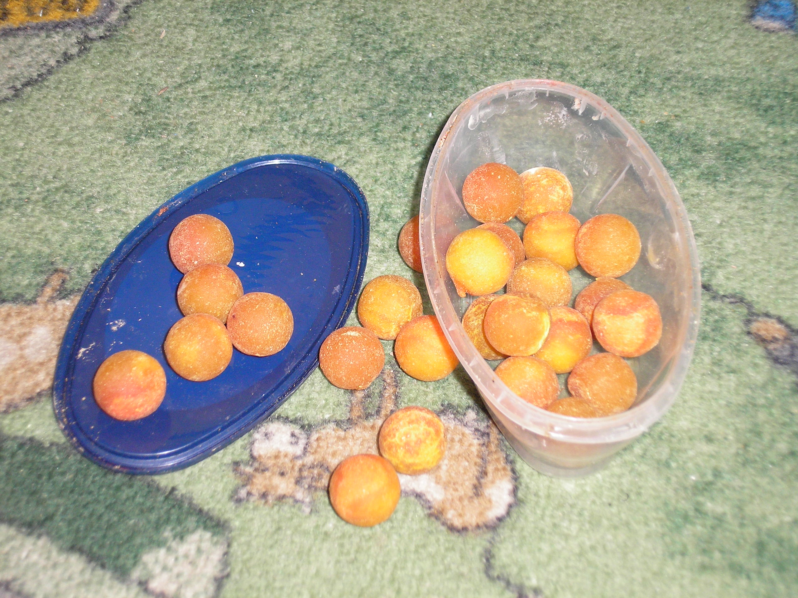 Snímek 017.jpg
